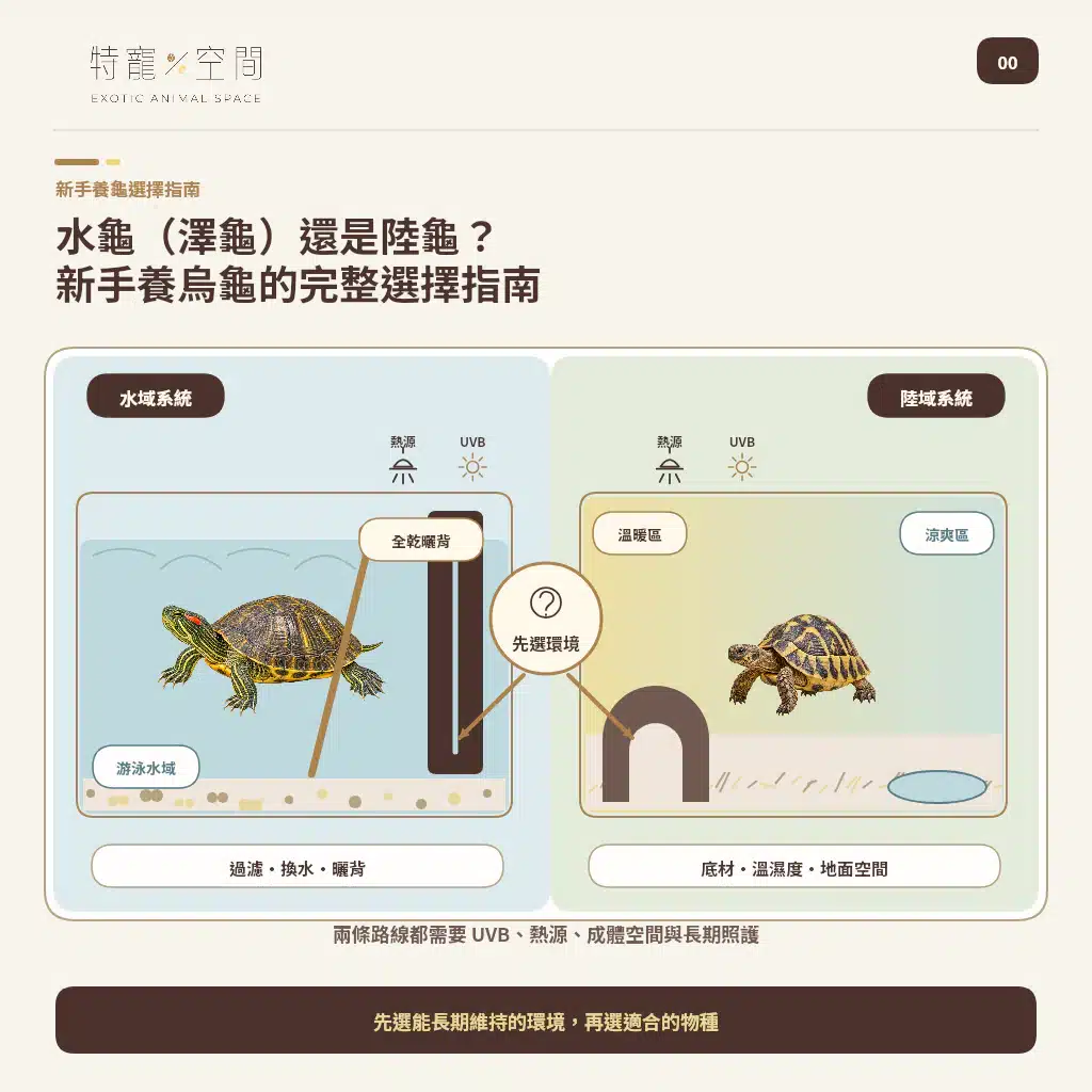 澤龜飼養封面