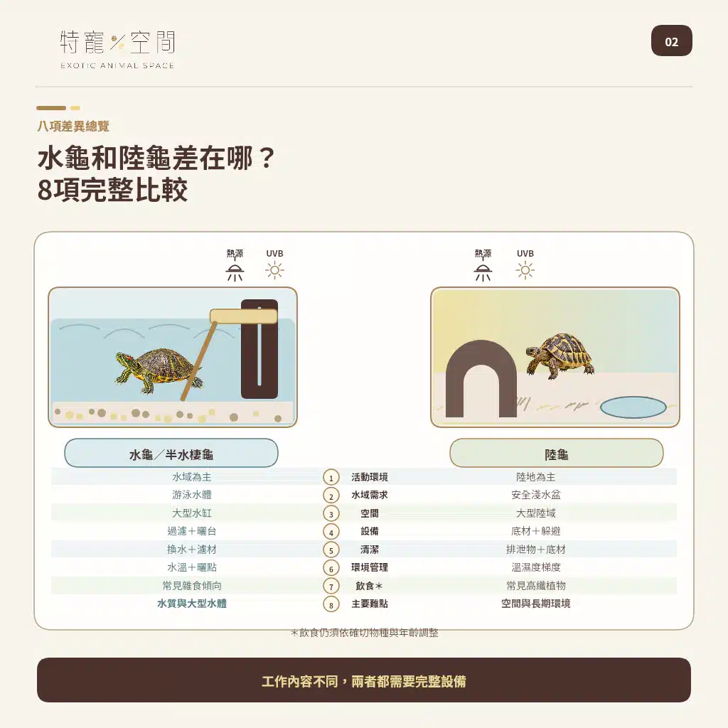 02 WATER TURTLE VS TORTOISE 8 COMPARISONS