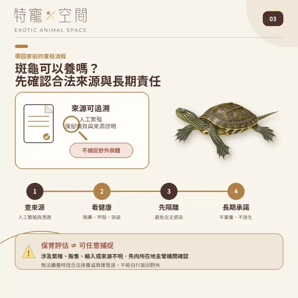 03 SPOTTED TURTLE LEGAL SOURCE CHECK