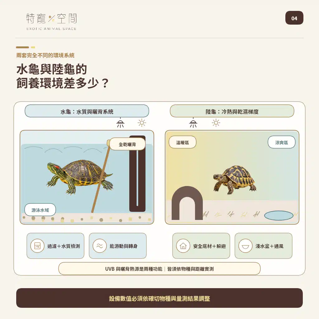 04 WATER TURTLE VS TORTOISE HABITAT