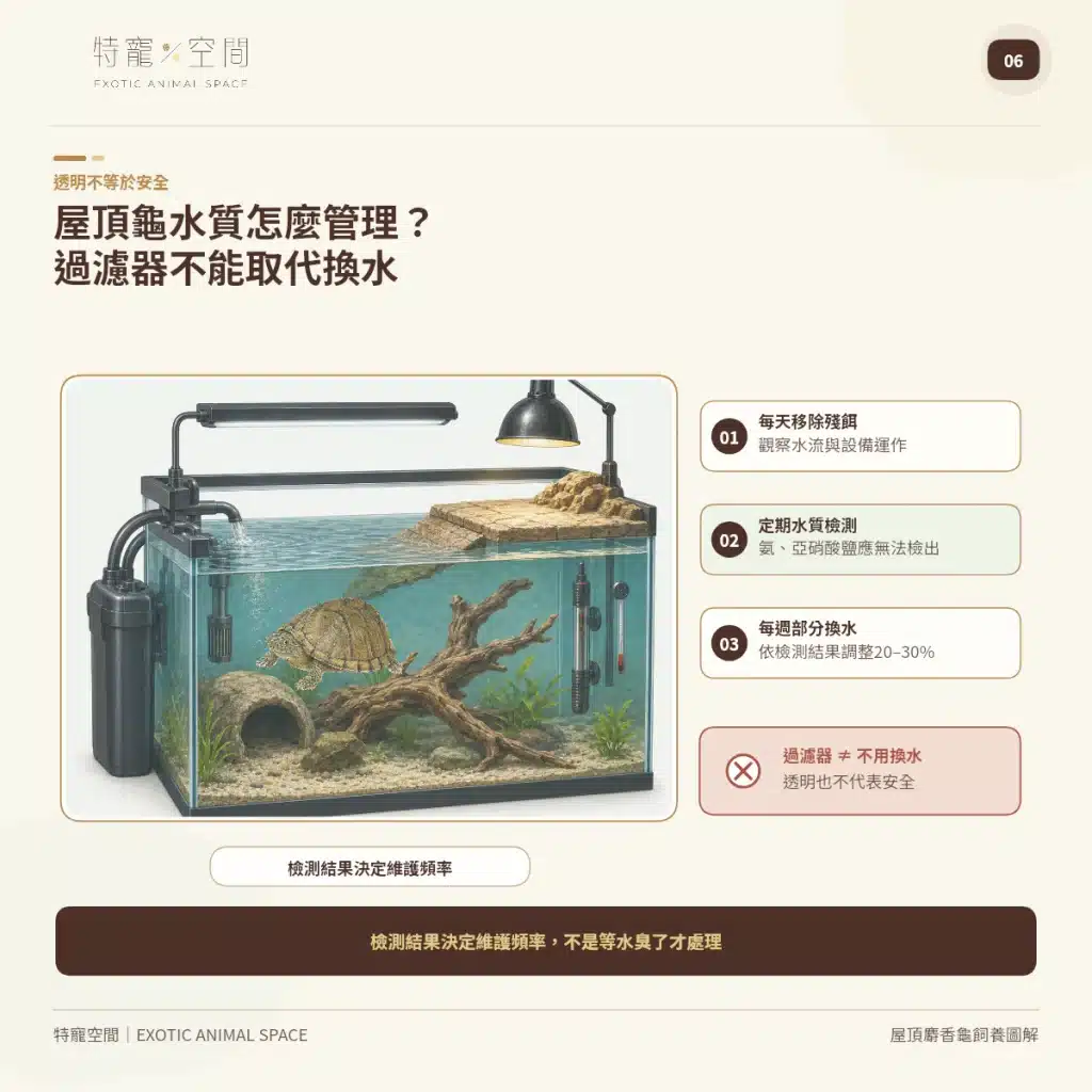 06 RAZORBACK MUSK TURTLE WATER QUALITY