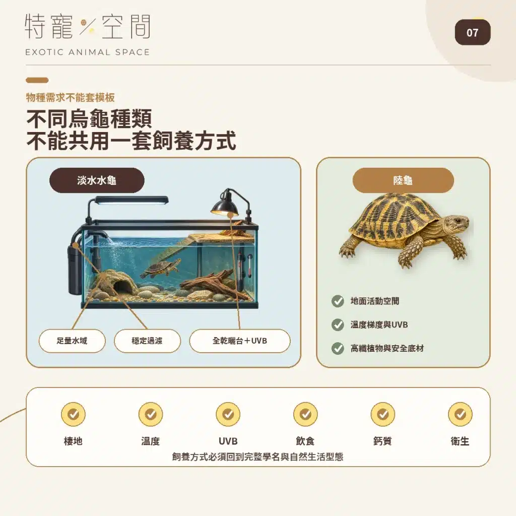 07 TURTLE CARE NEEDS BY SPECIES