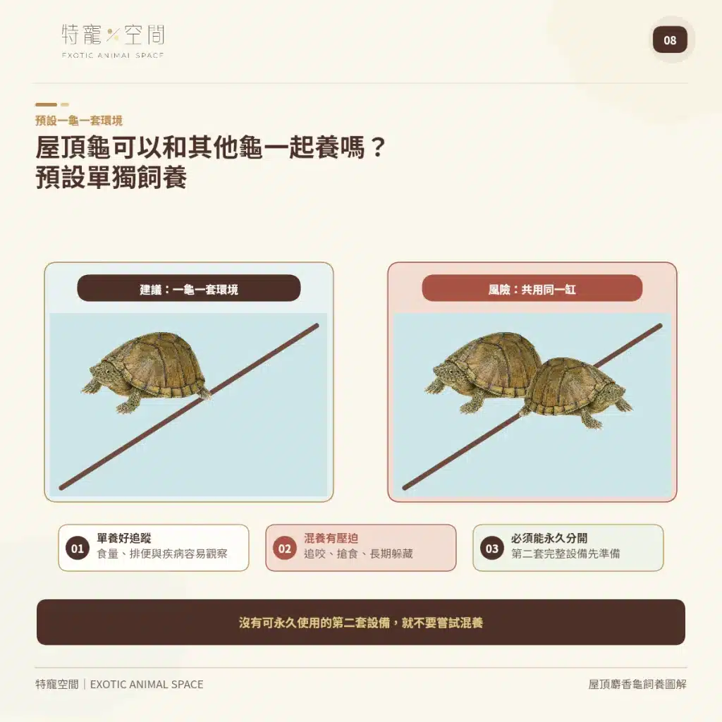 08 RAZORBACK MUSK TURTLE COHOUSING