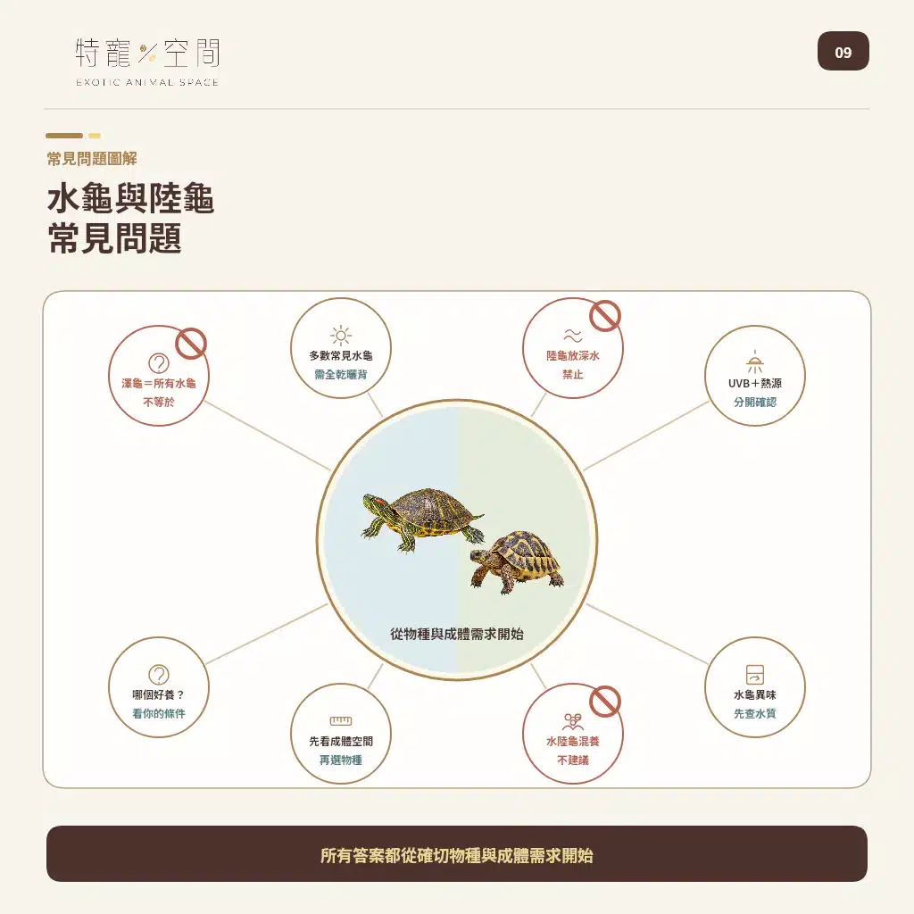09 WATER TURTLE VS TORTOISE FAQ