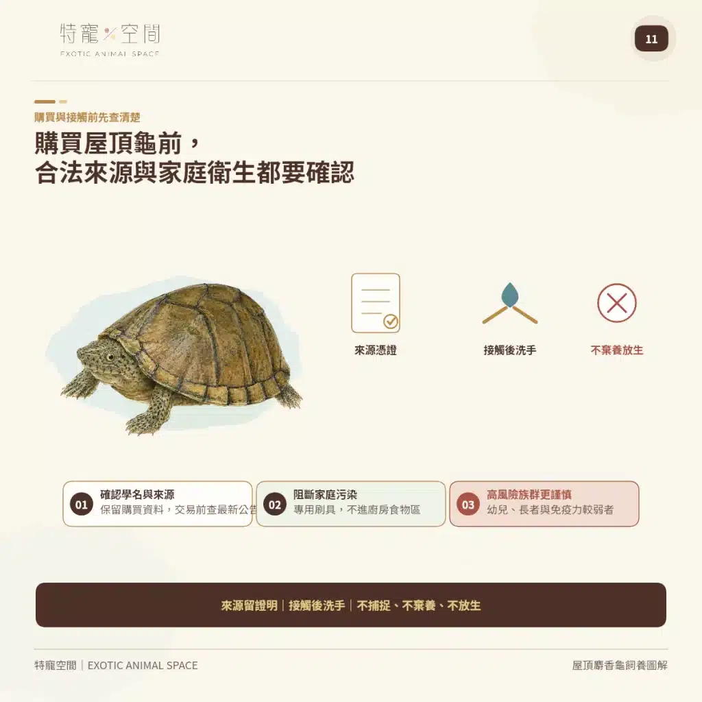 11 RAZORBACK MUSK TURTLE LEGAL HYGIENE