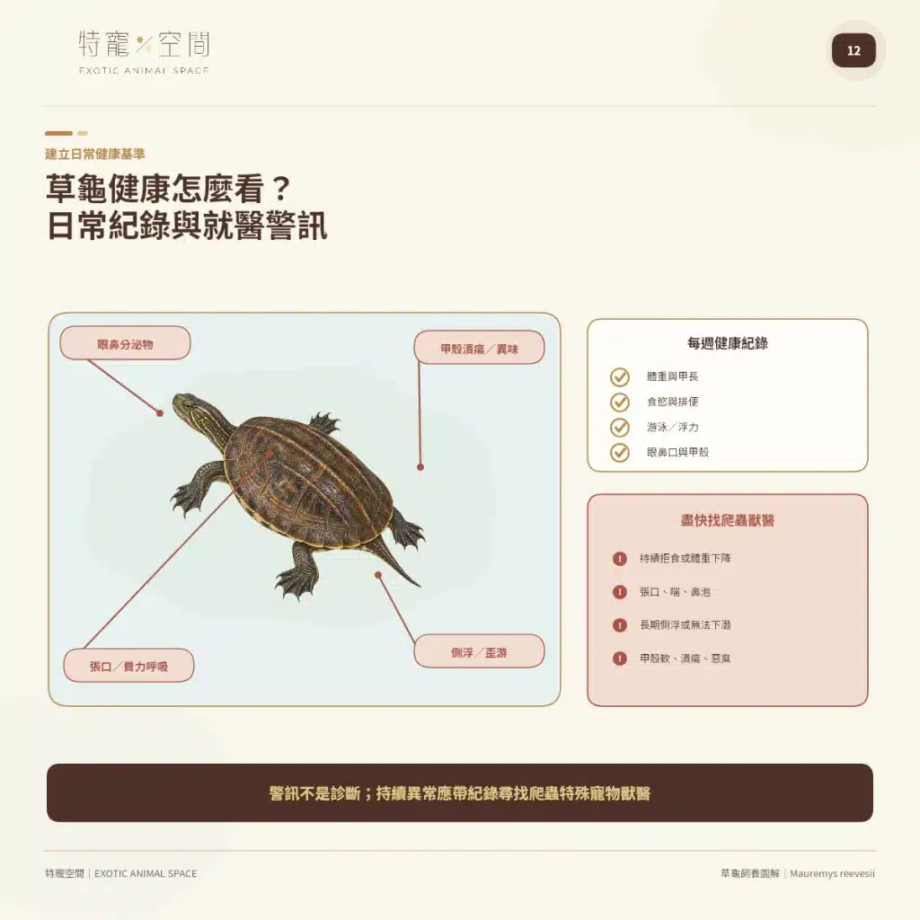12 GRASS TURTLE HEALTH WARNING SIGNS