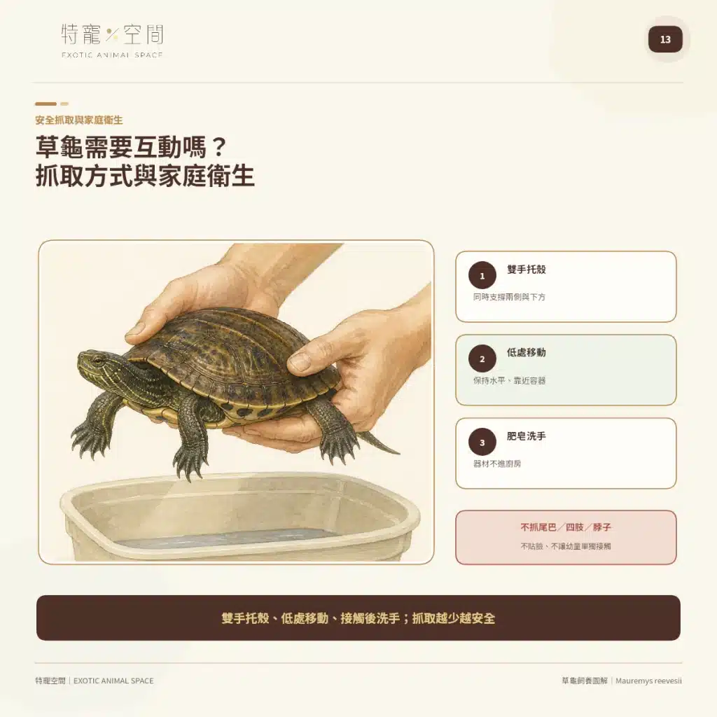 13 GRASS TURTLE HANDLING HYGIENE
