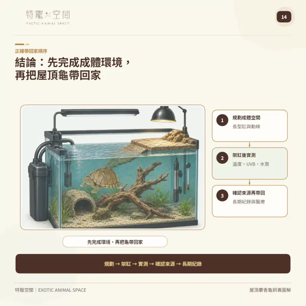 14 RAZORBACK MUSK TURTLE CARE CONCLUSION