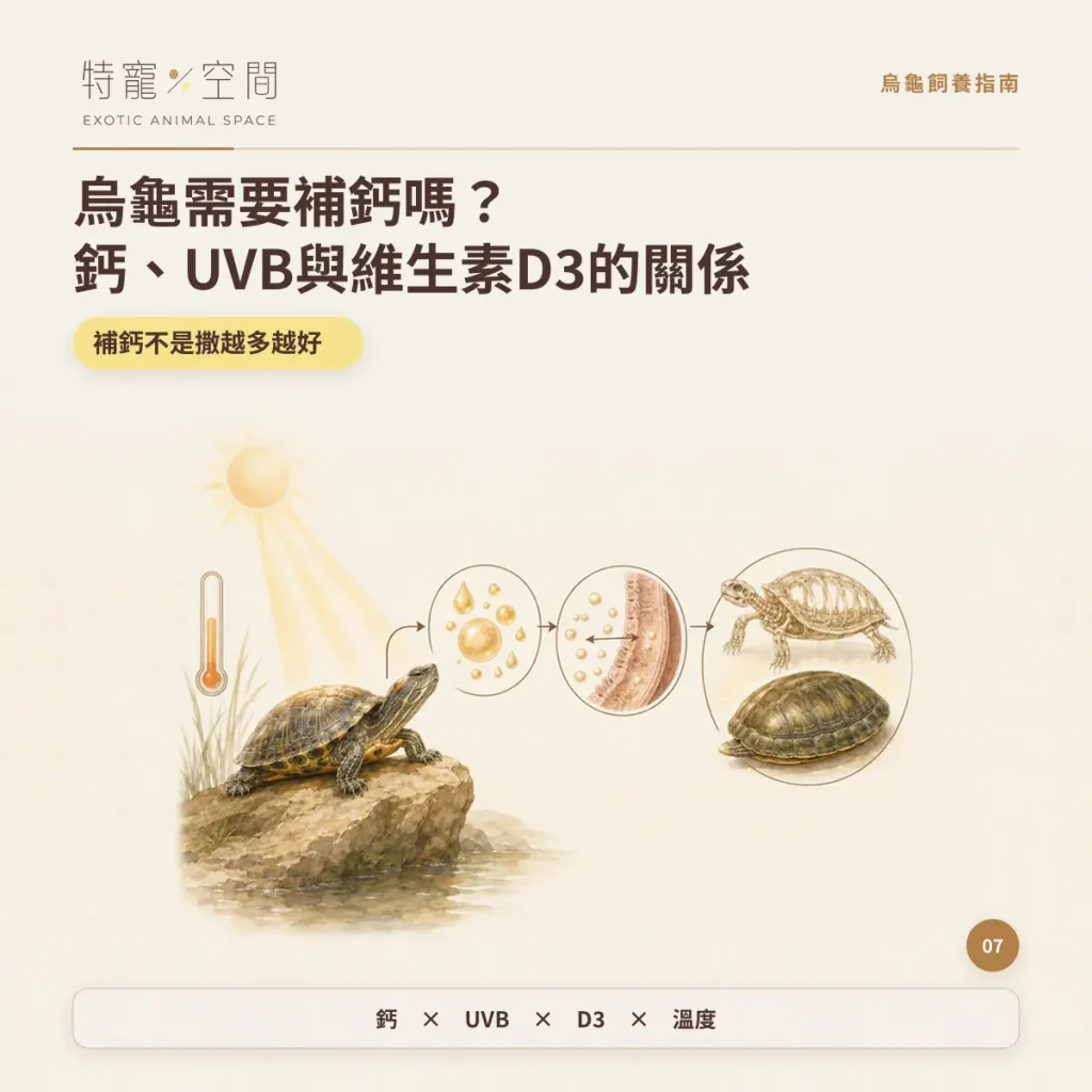 CALCIUM UVB D3