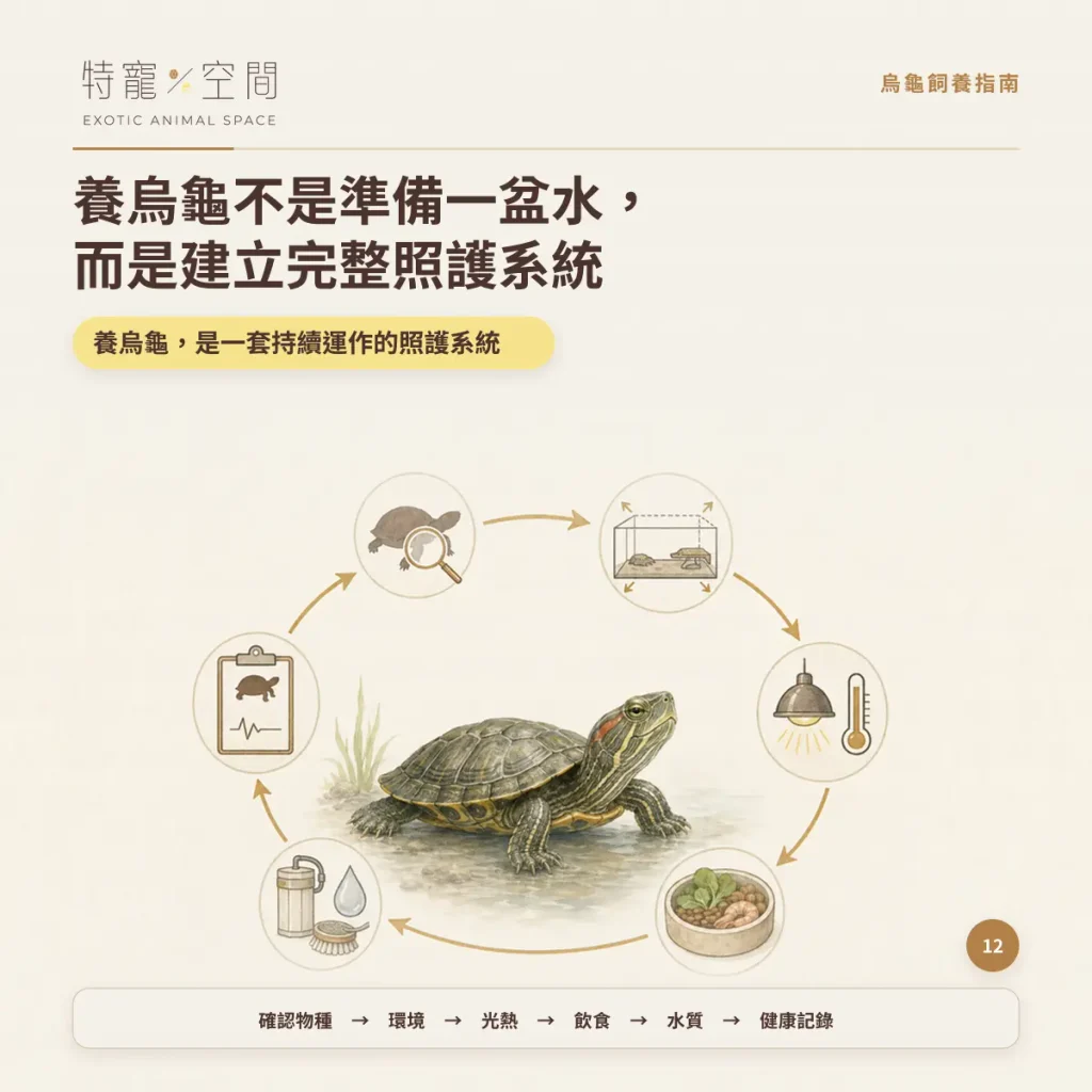 COMPLETE TURTLE CARE SYSTEM