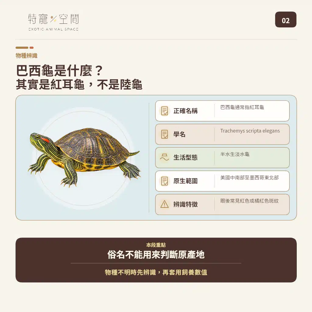 RED EARED SLIDER 02 SPECIES PROFILE