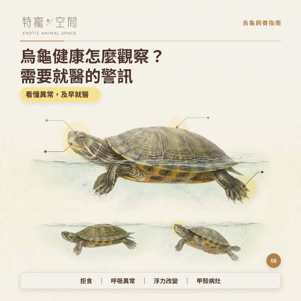 TURTLE HEALTH WARNING SIGNS