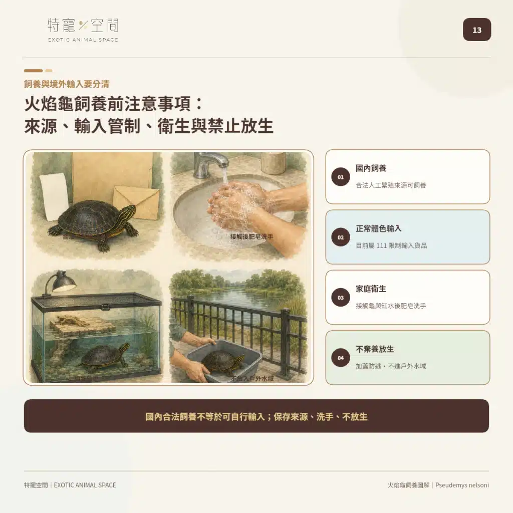 火焰龜飼養指南:成體大小、水溫、UVB與餵食細節掌握才能避免疾病 13 FIRE TURTLE LEGAL HYGIENE RELEASE