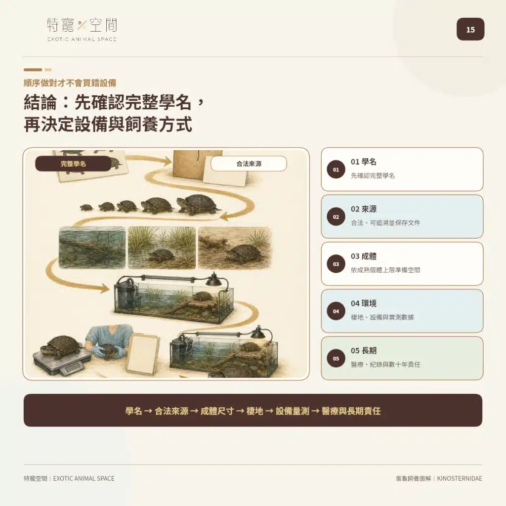 「蛋龜」不是一種龜!成體從10到25公分都有,水深、混養方式差很大 15 EGG TURTLE PRE PURCHASE CHECKLIST