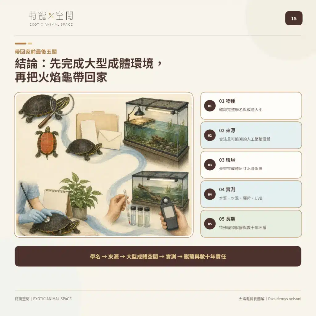 火焰龜飼養指南:成體大小、水溫、UVB與餵食細節掌握才能避免疾病 15 FIRE TURTLE PRE PURCHASE CHECKLIST