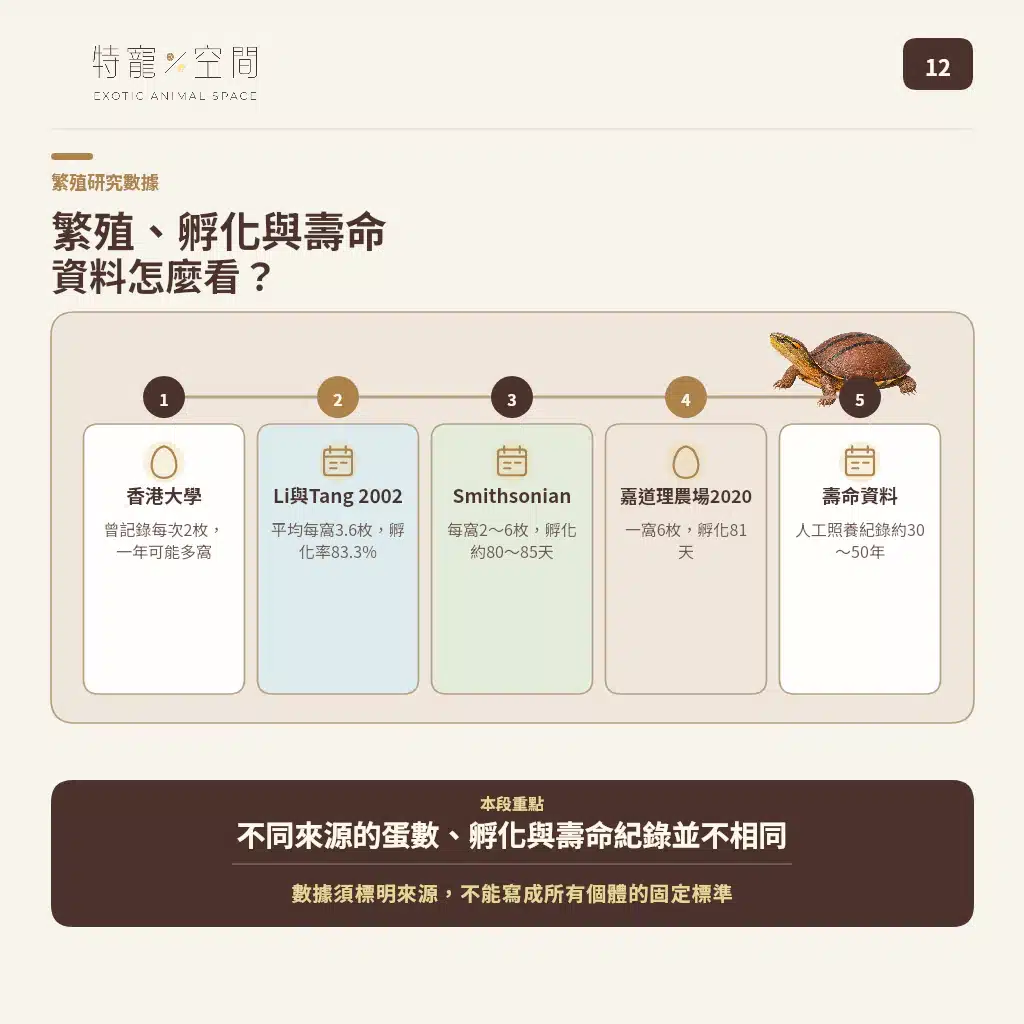 GOLDEN COIN TURTLE 12 REPRODUCTION LIFESPAN