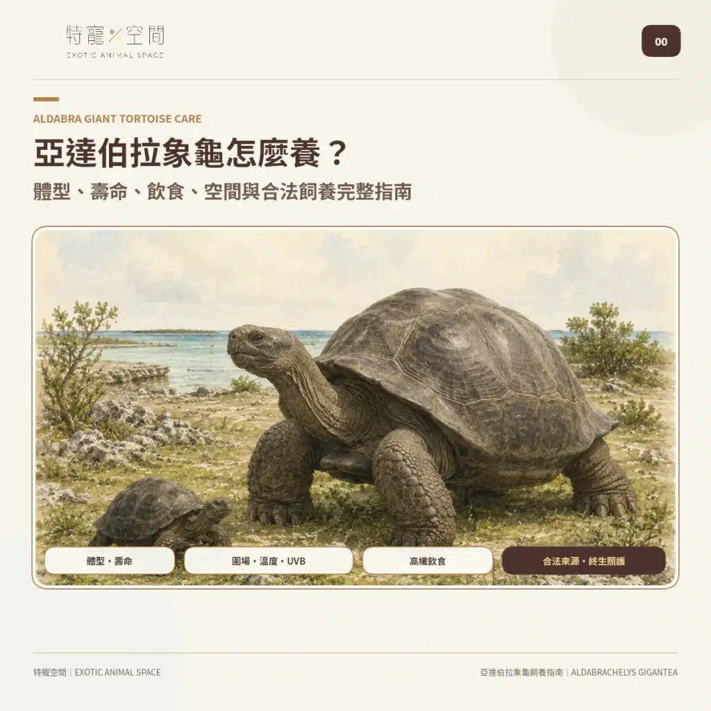 00 ALDABRA GIANT TORTOISE COMPLETE CARE GUIDE COVER