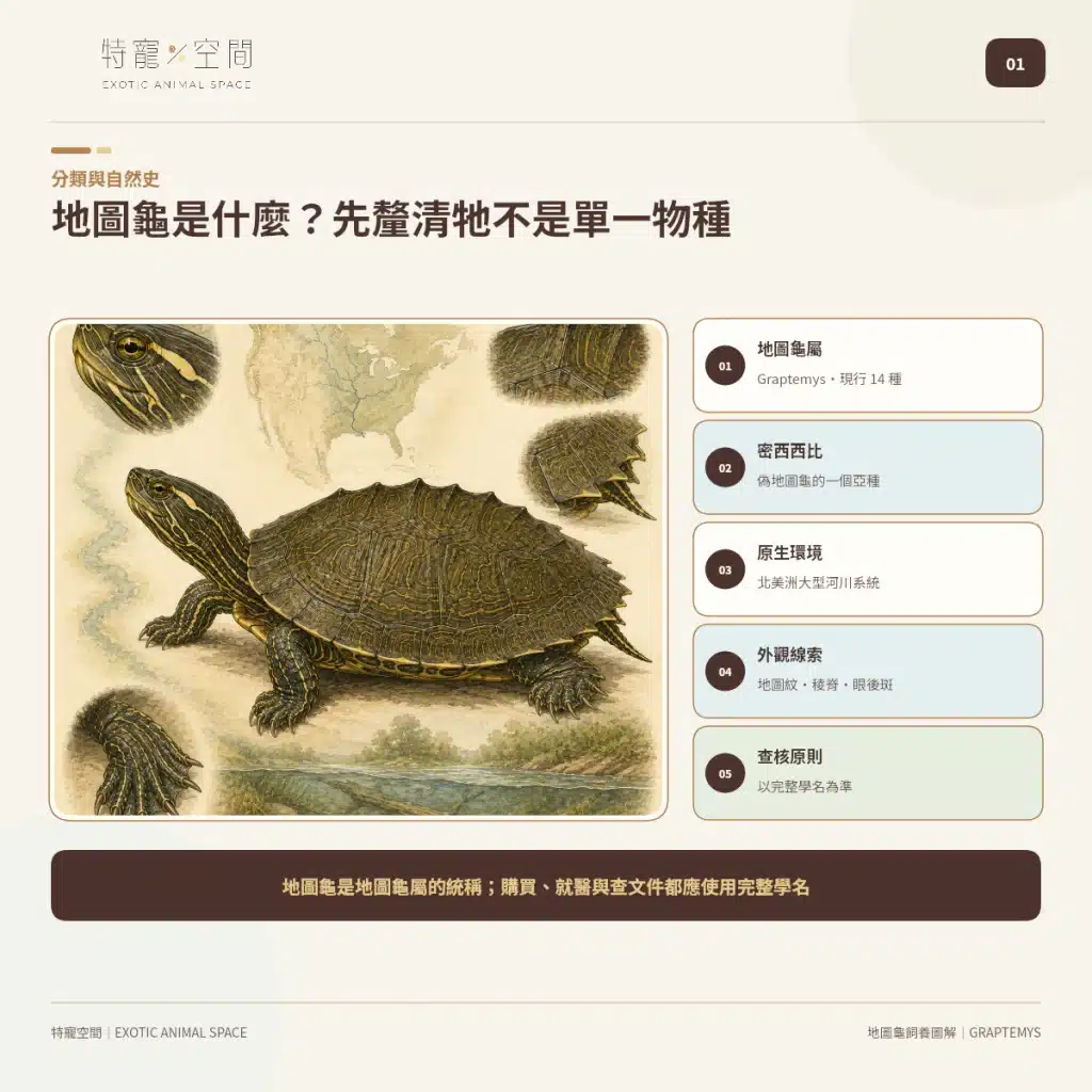 地圖龜飼養指南