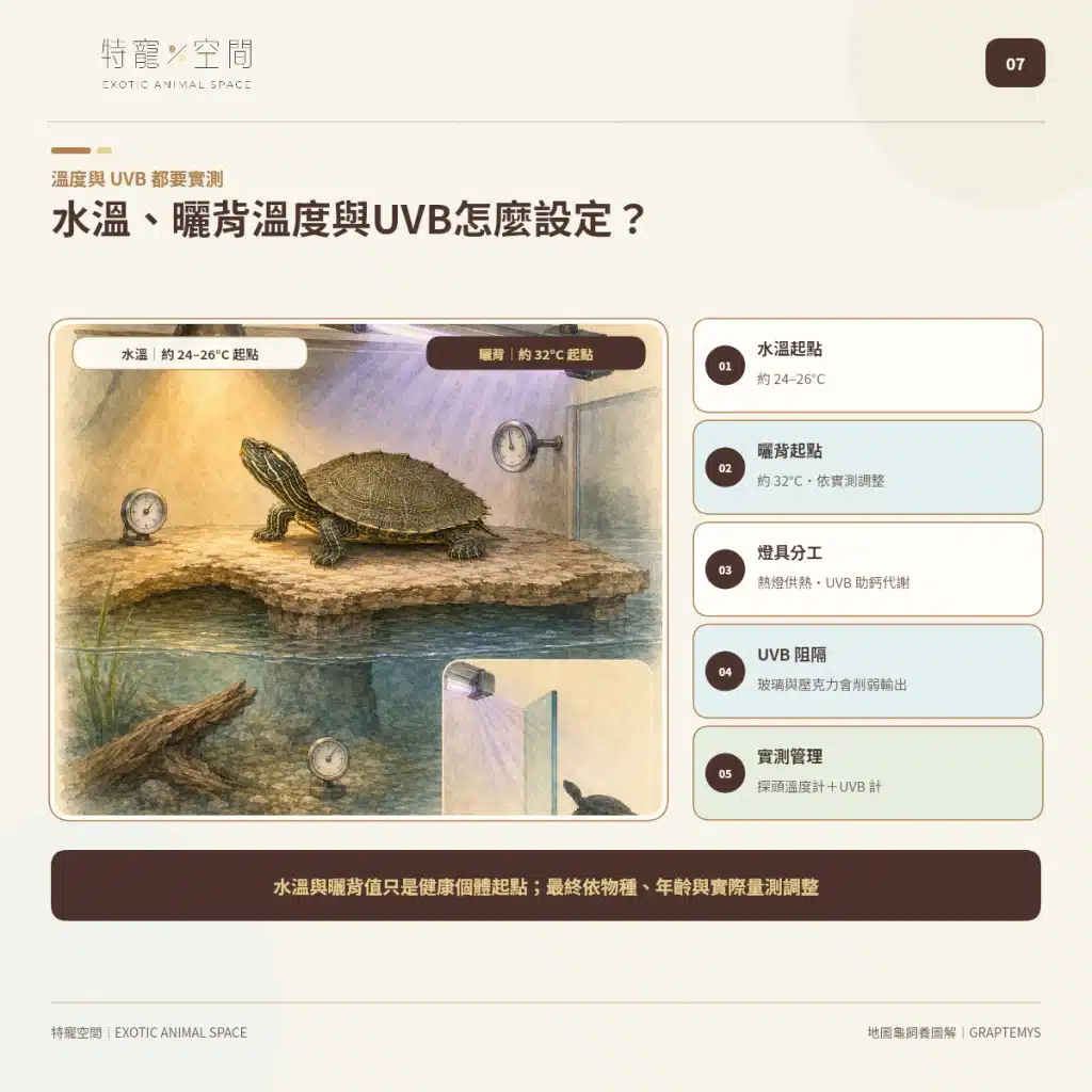 07 MAP TURTLE TEMPERATURE UVB