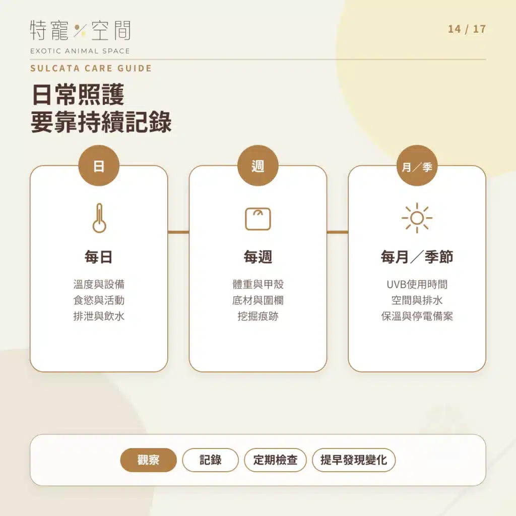 蘇卡達象龜飼養指南:溫度、飲食、UVB、空間與健康一次看懂 14 SULCATA CARE CHECKLIST