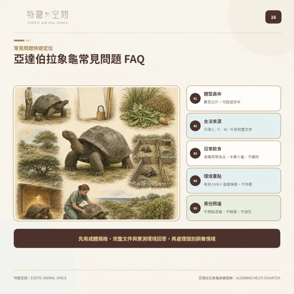 16 ALDABRA GIANT TORTOISE FREQUENTLY ASKED QUESTIONS
