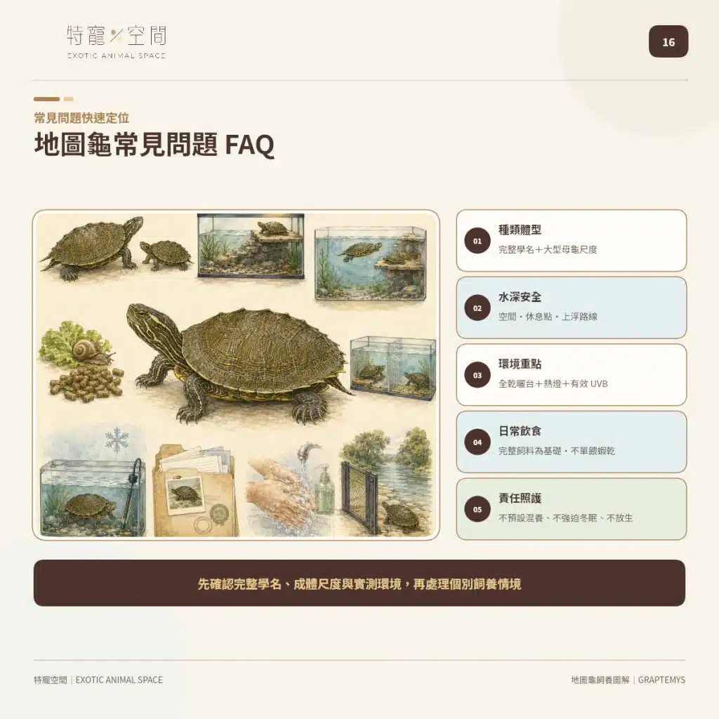 16 MAP TURTLE FAQ OVERVIEW
