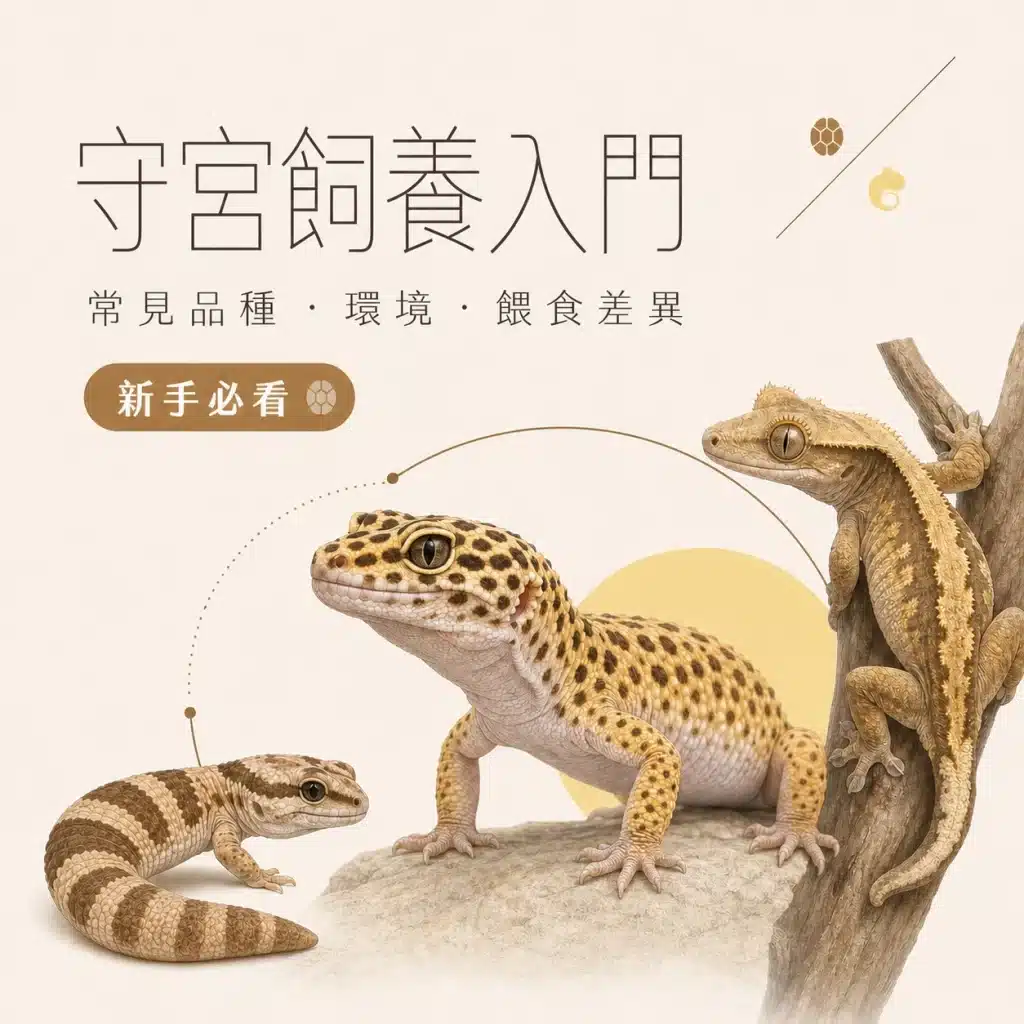 守宮飼養入門：常見品種、環境與餵食差異，新手必看！