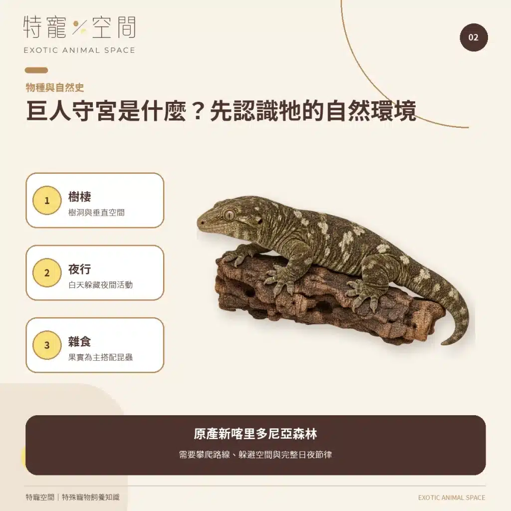 02 LEACHIE NATURAL HISTORY