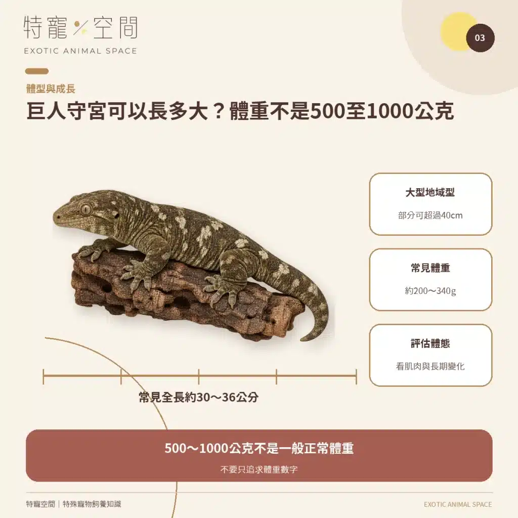 03 LEACHIE SIZE WEIGHT