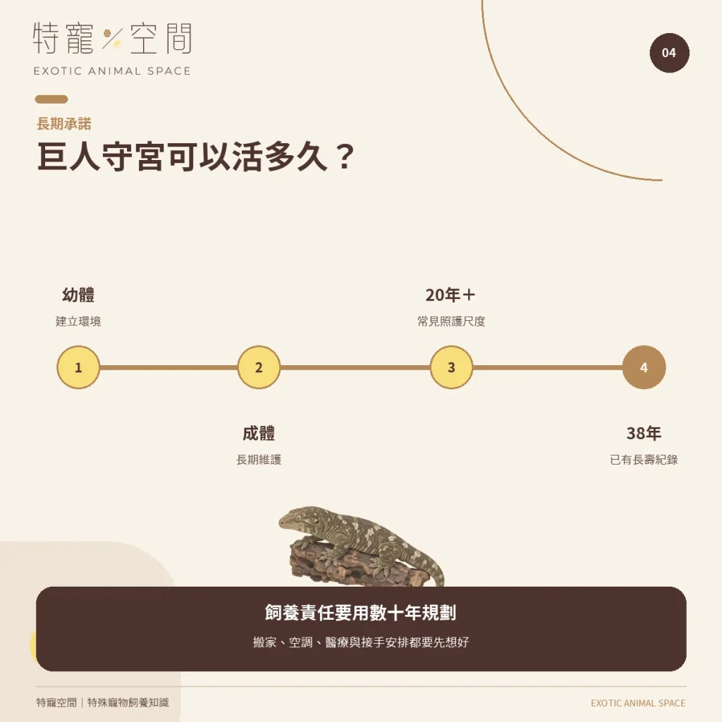 04 LEACHIE LIFESPAN