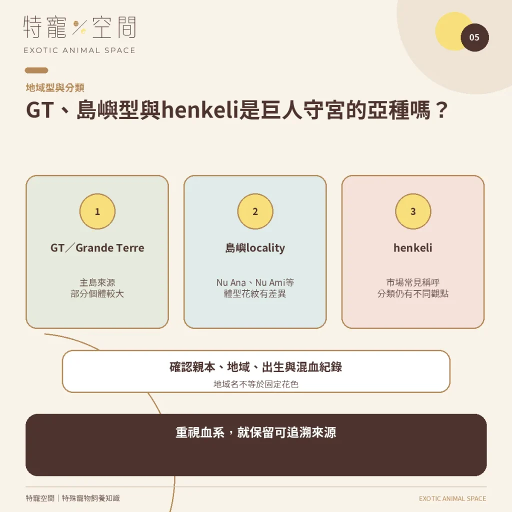 05 LEACHIE LOCALITY TAXONOMY