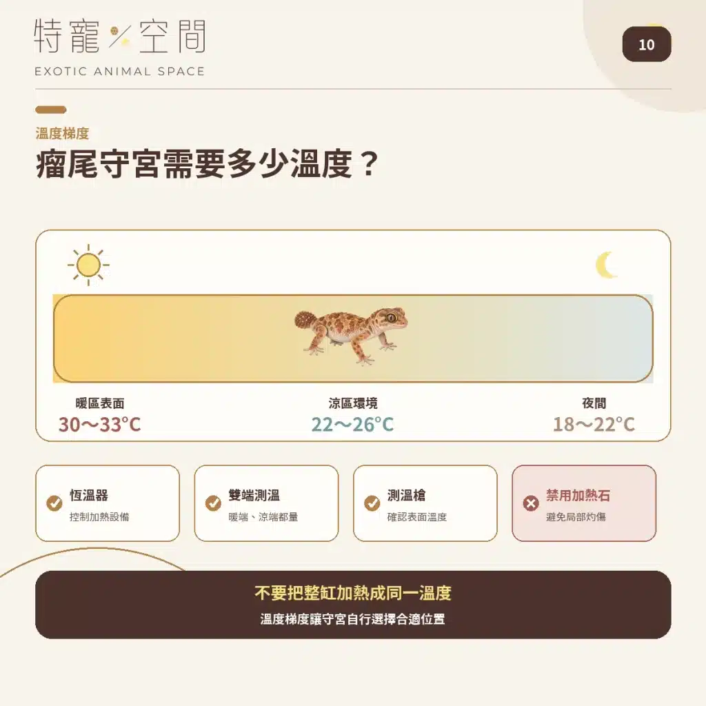 10 KNOB TAILED GECKO TEMPERATURE GUIDE