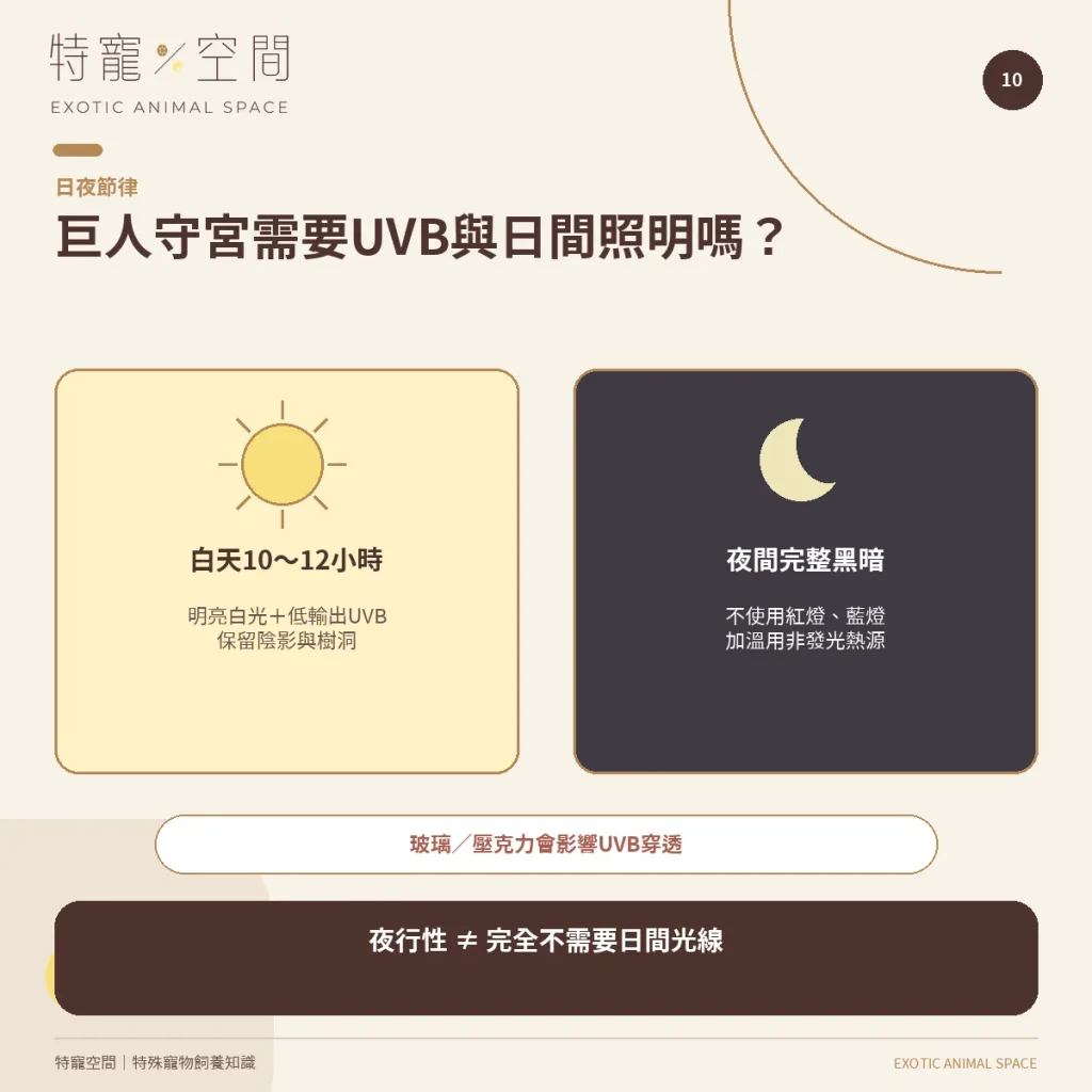 10 LEACHIE UVB LIGHTING