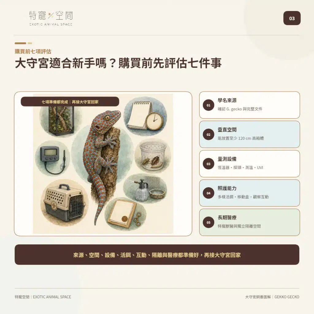 03 TOKAY GECKO BEGINNER CHECKLIST