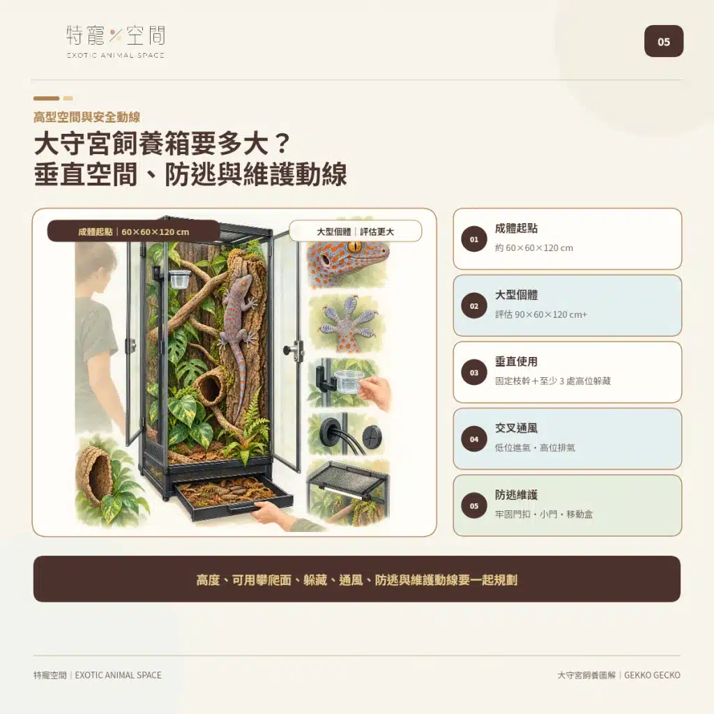 05 TOKAY GECKO ENCLOSURE SIZE SETUP