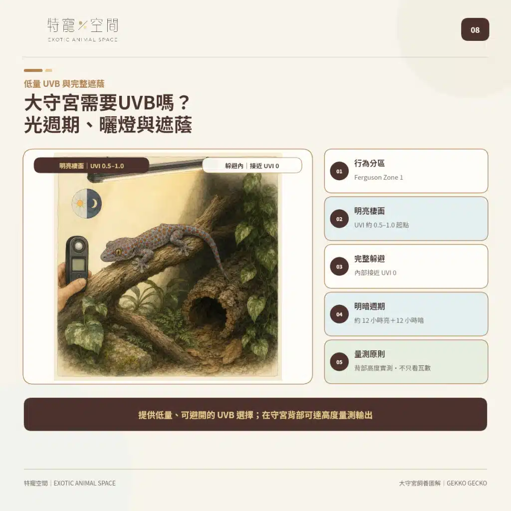 08 TOKAY GECKO UVB LIGHTING GUIDE