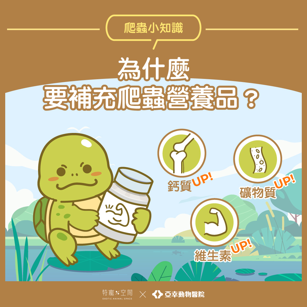02.為什麼要補充爬蟲營養品？