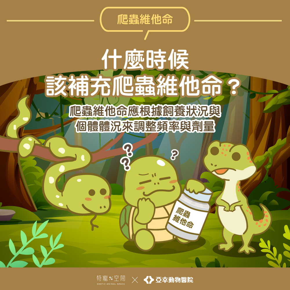 03.什麼時候該補充爬蟲維他命
