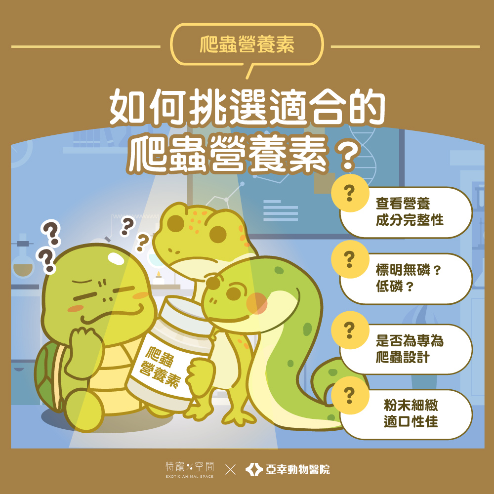 03.如何挑選適合的爬蟲營養素？