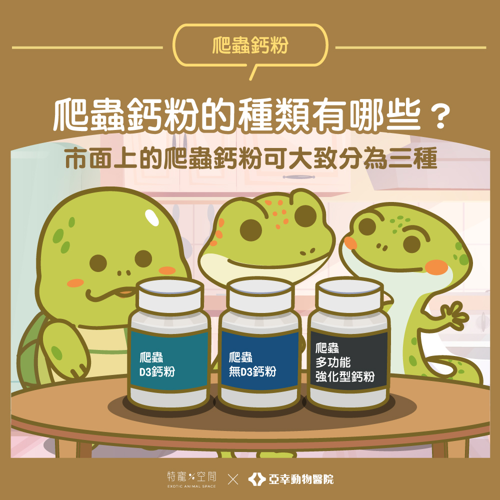 03.爬蟲鈣粉的種類有哪些？