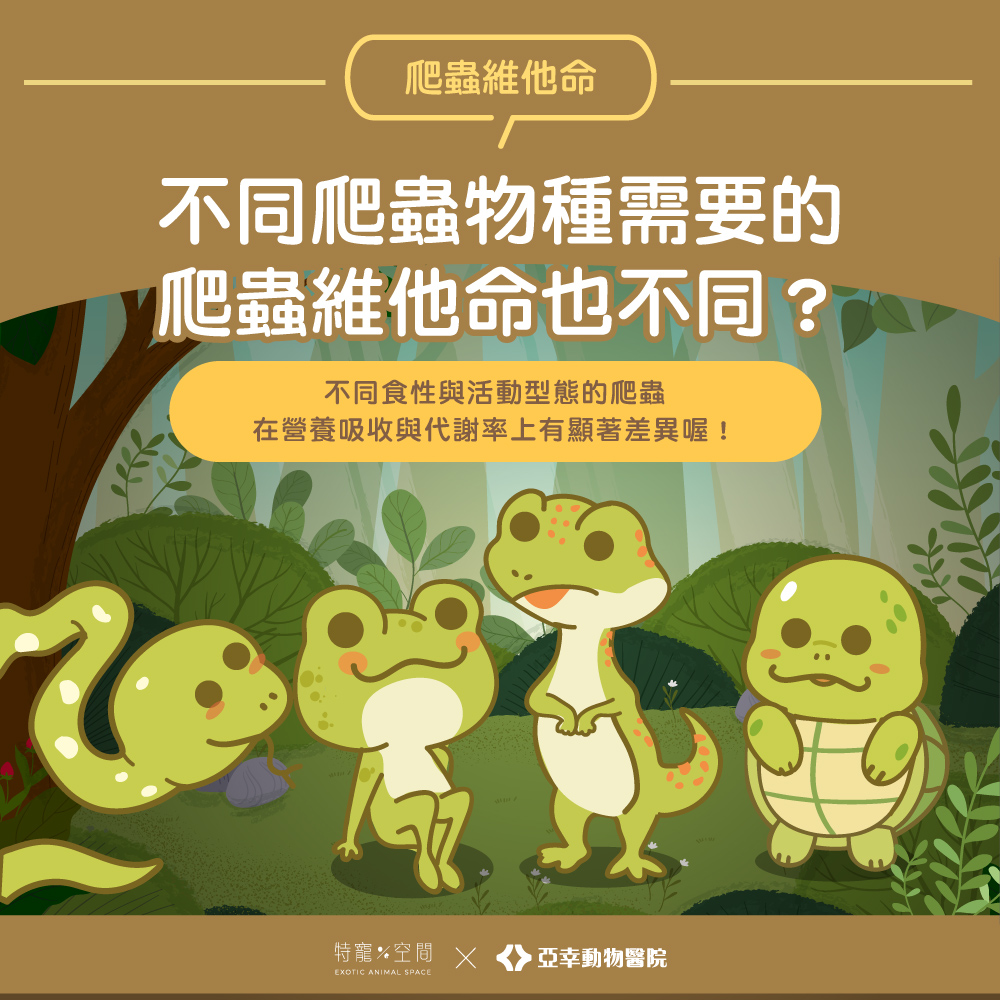 04.不同爬蟲物種需要的爬蟲維他命也不同？