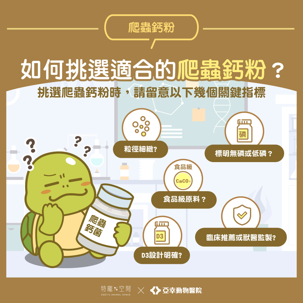 04.如何挑選適合的爬蟲鈣粉？