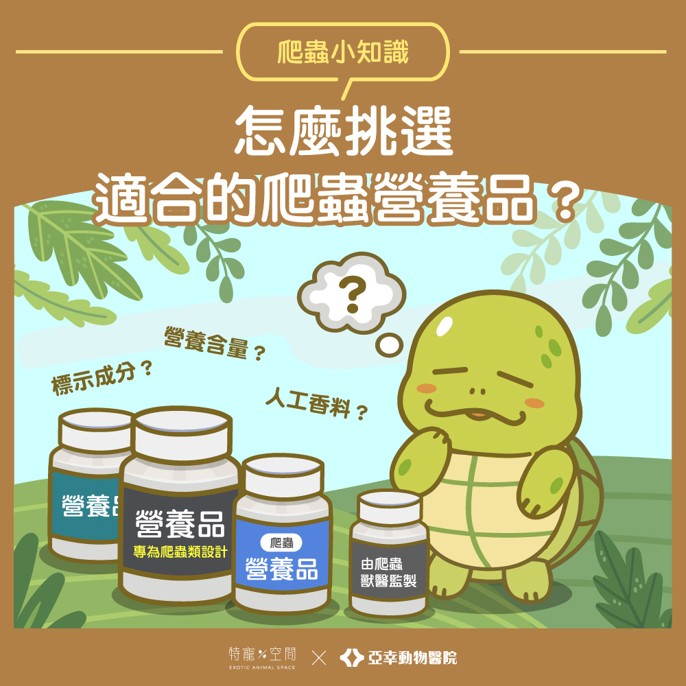 04.怎麼挑選適合的爬蟲營養品？