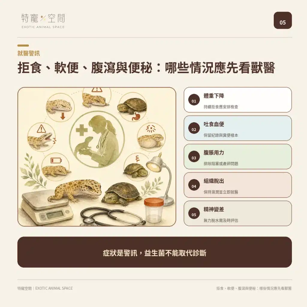爬蟲益生菌有必要嗎?益生菌配方不能亂餵,拒食、軟便與正確用法一次看懂 05 VET WARNING SIGNS