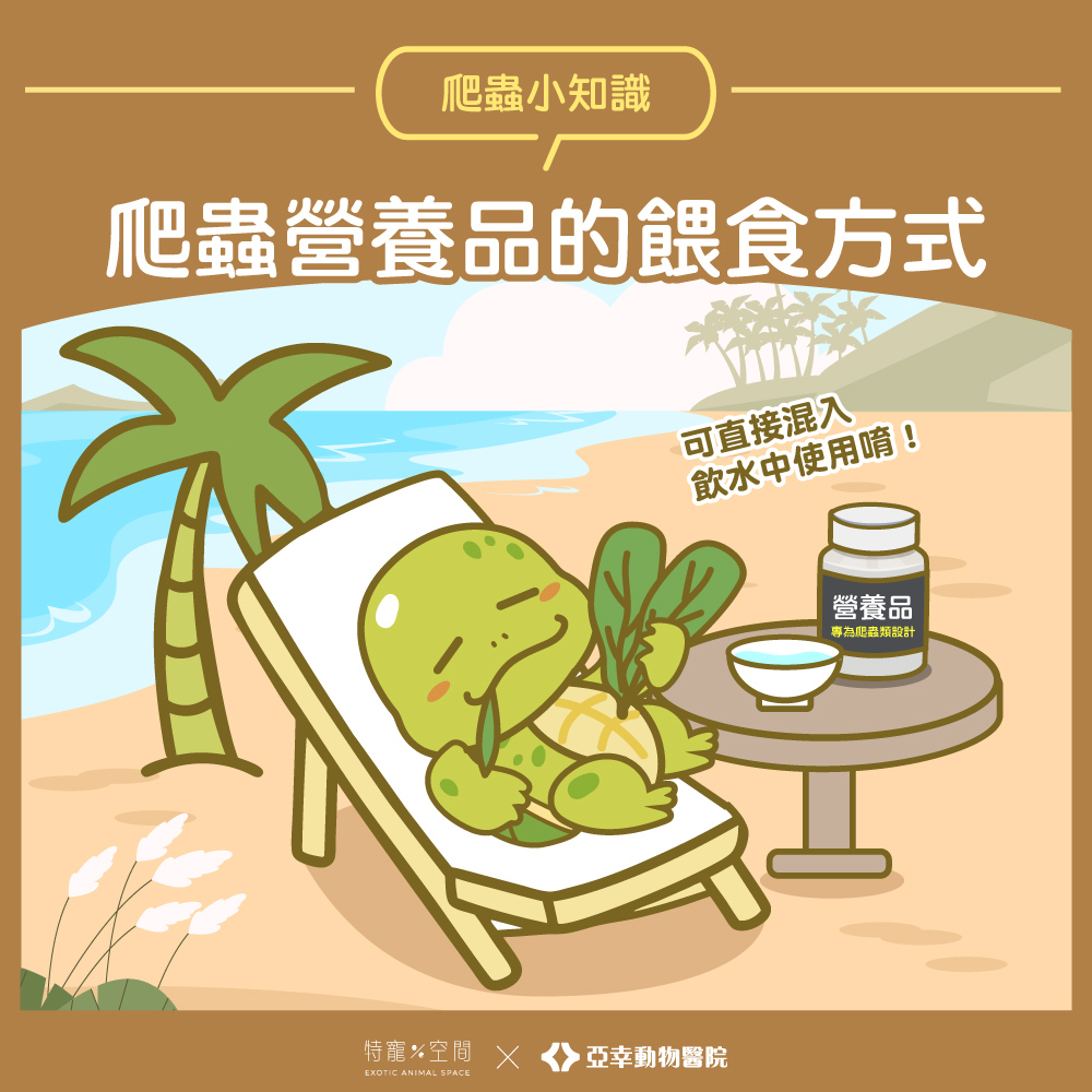 05.爬蟲營養品的餵食方式