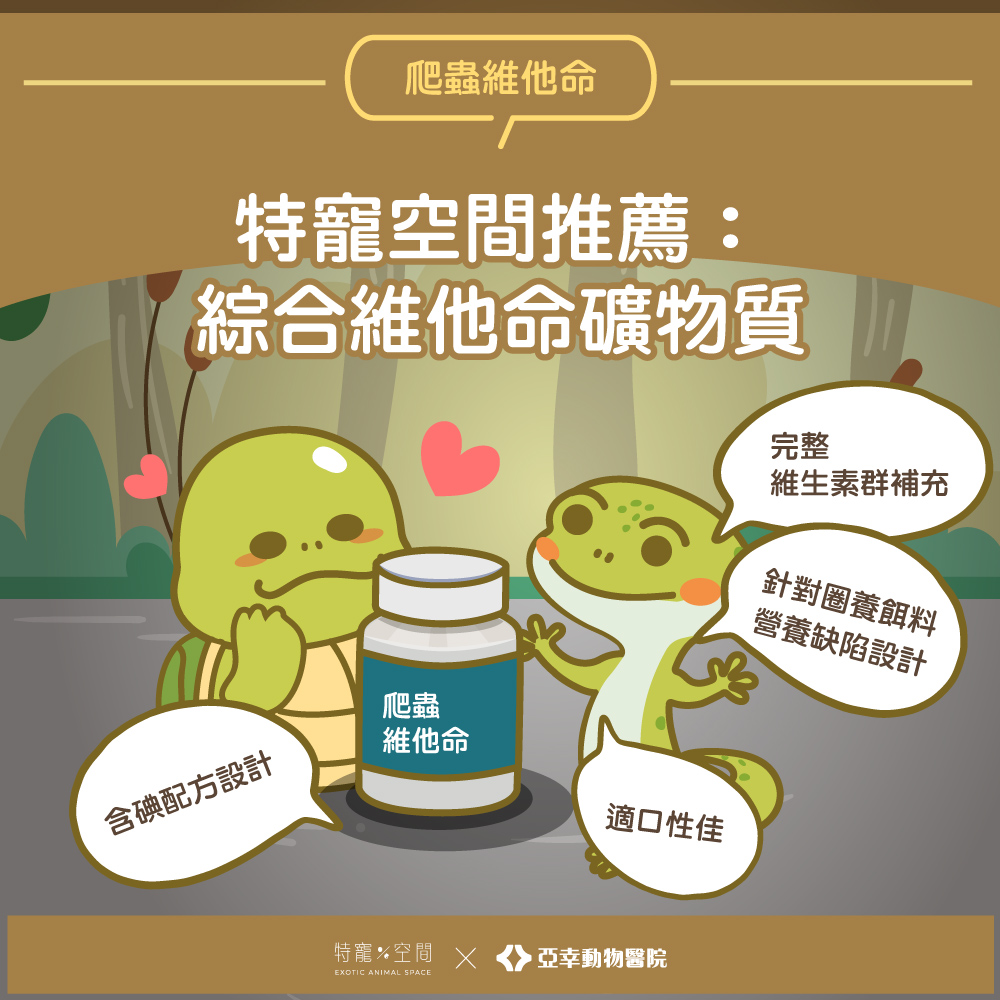 05.特寵空間推薦：綜合維他命礦物質