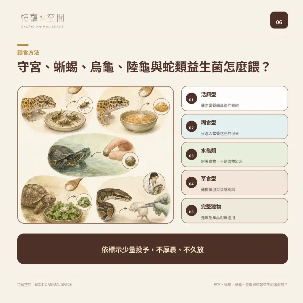 爬蟲益生菌有必要嗎?益生菌配方不能亂餵,拒食、軟便與正確用法一次看懂 06 HOW TO FEED