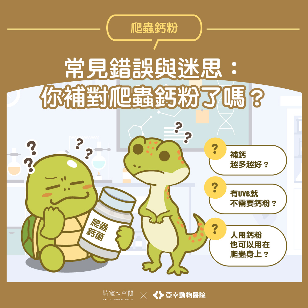 06.常見錯誤與迷思：你補對爬蟲鈣粉了嗎