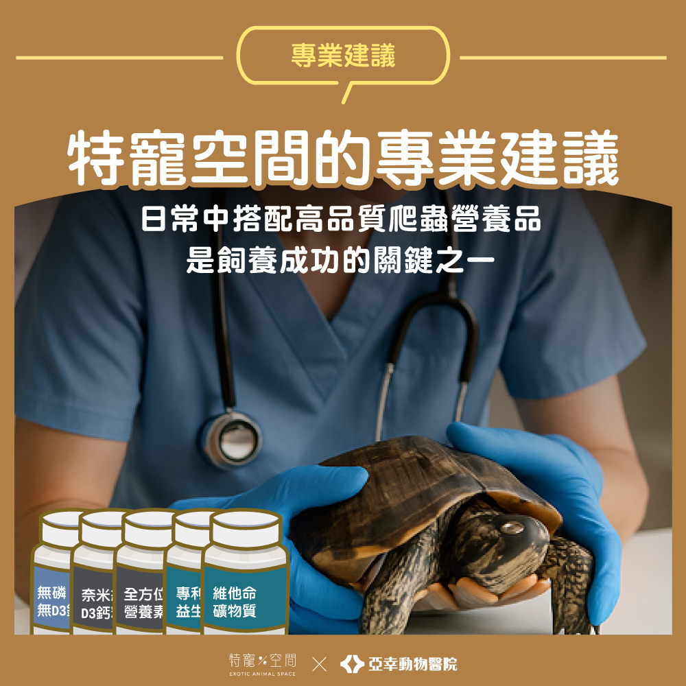 06.特寵空間的專業建議