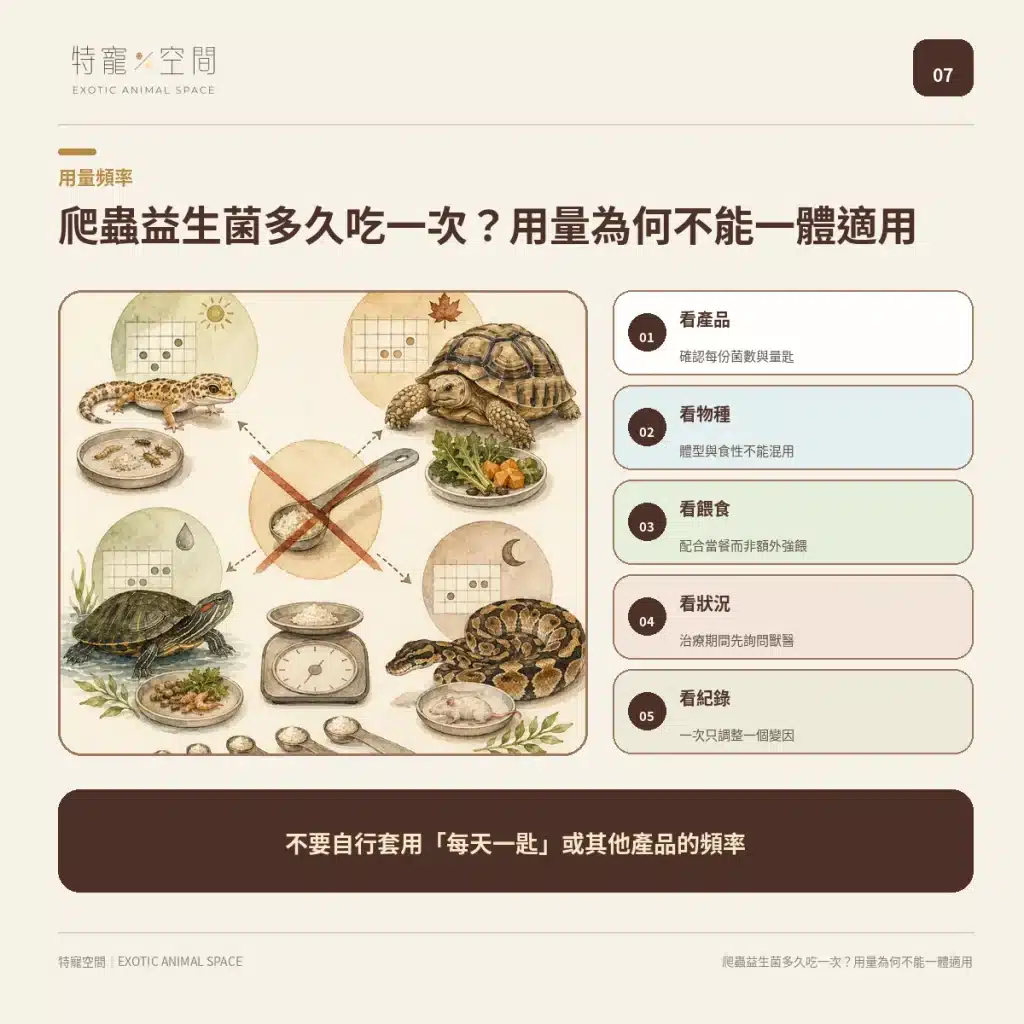 爬蟲益生菌有必要嗎?益生菌配方不能亂餵,拒食、軟便與正確用法一次看懂 07 FREQUENCY AND DOSE